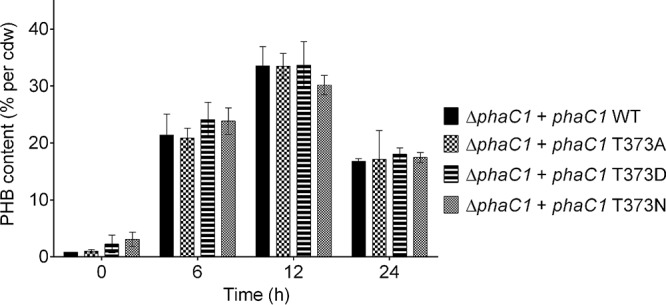 FIG 3