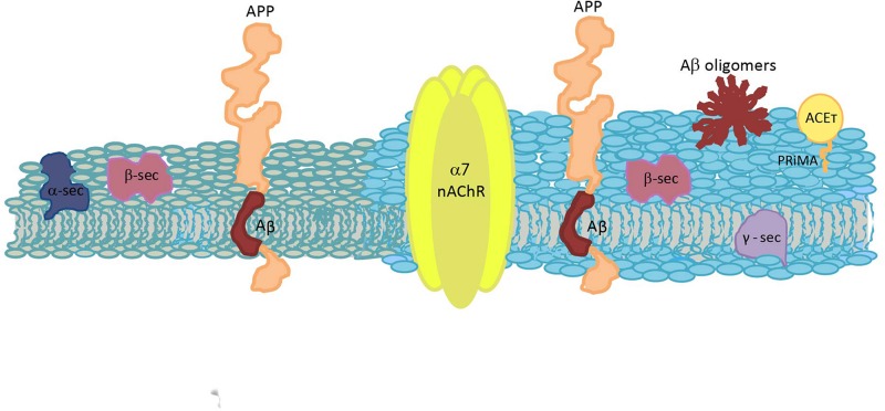 FIGURE 3