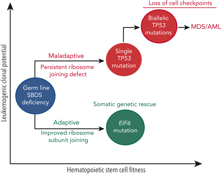 Figure 2.