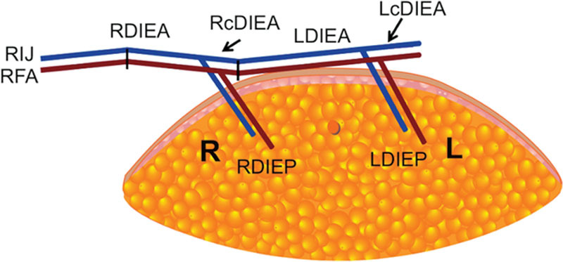 Fig. 3.