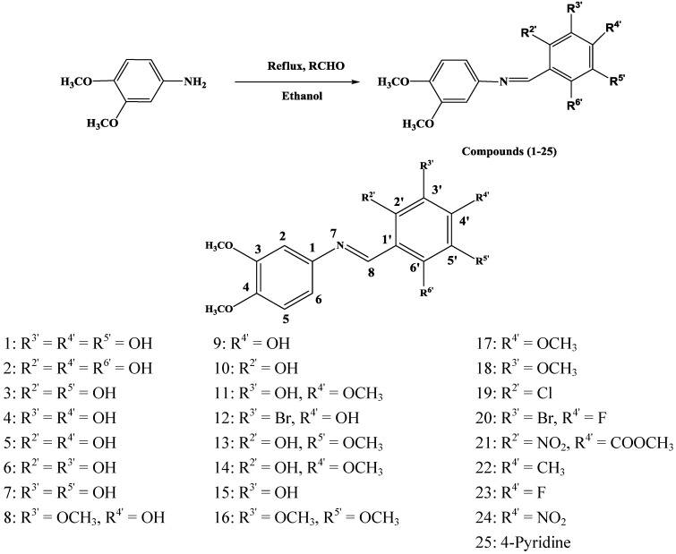 Scheme 1