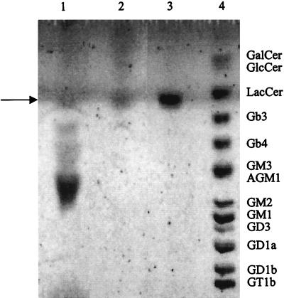 FIG. 5