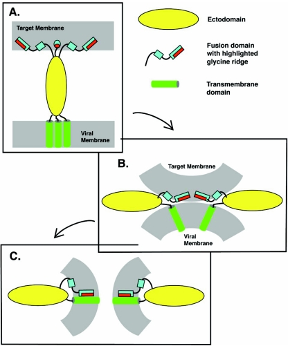 FIG. 7.