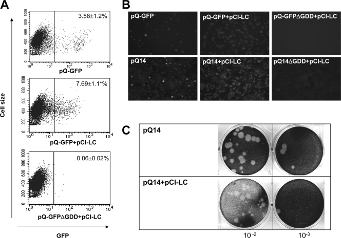 FIG. 2.