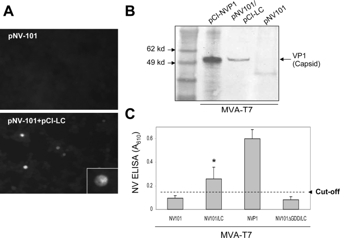 FIG. 4.