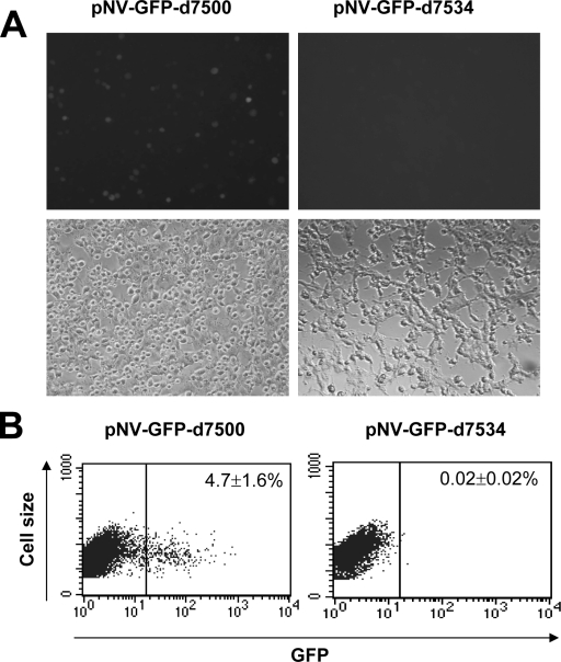 FIG. 8.