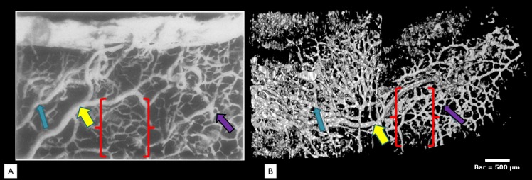 
Figure 11. 
