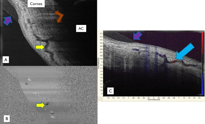 
Figure 9. 
