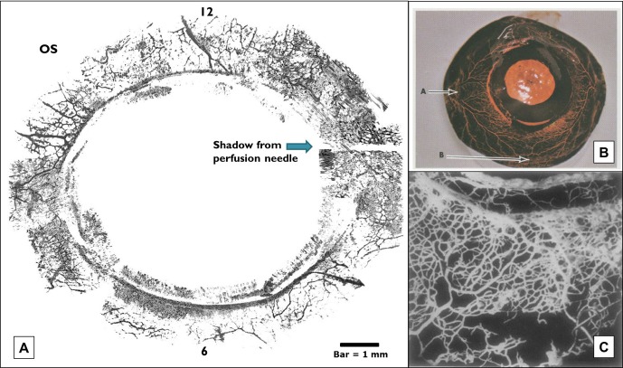 
Figure 10. 
