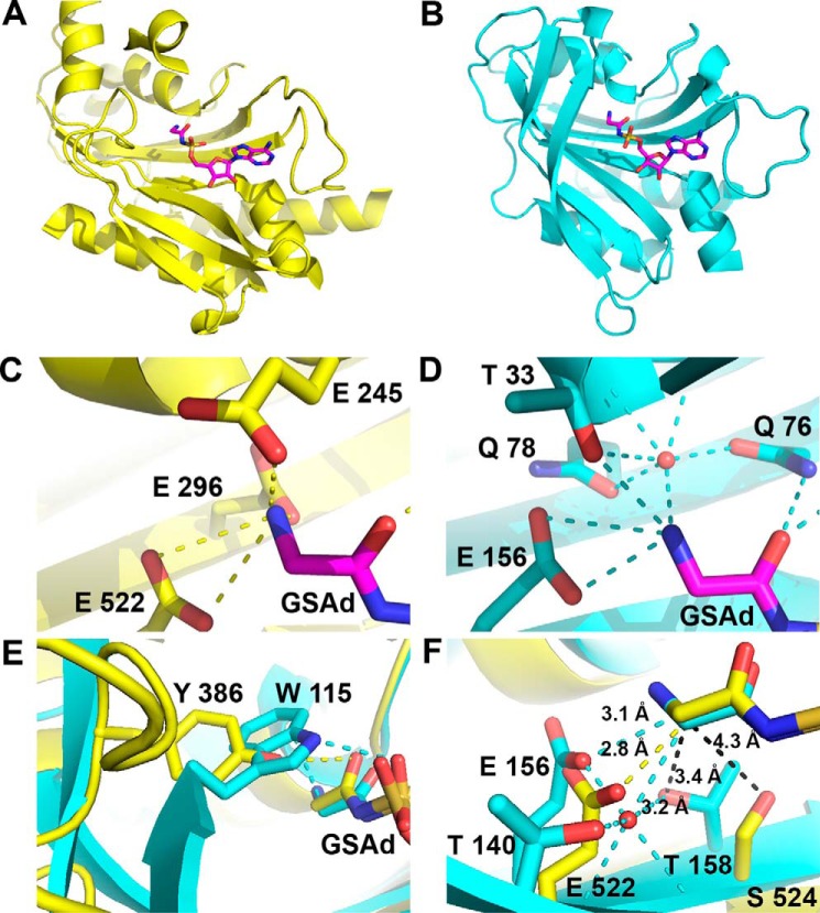 FIGURE 4.