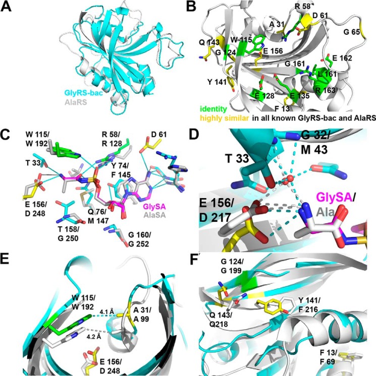 FIGURE 11.