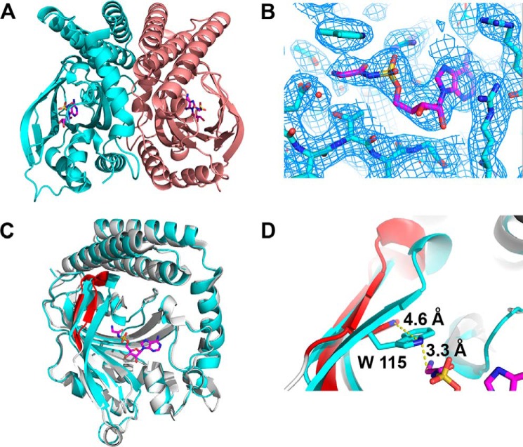 FIGURE 2.