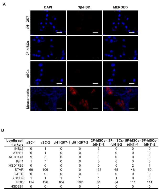 Figure 3—figure supplement 4.