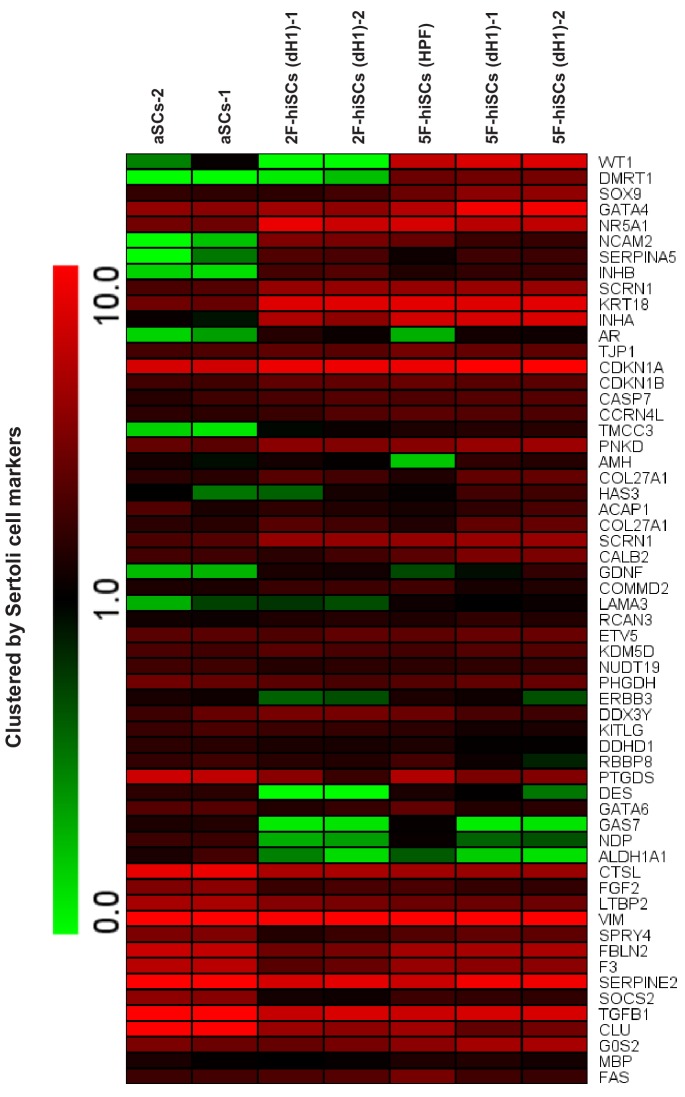 Figure 3—figure supplement 1.