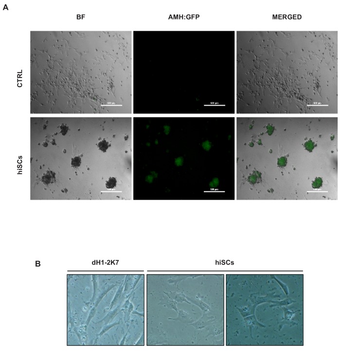 Figure 6—figure supplement 3.