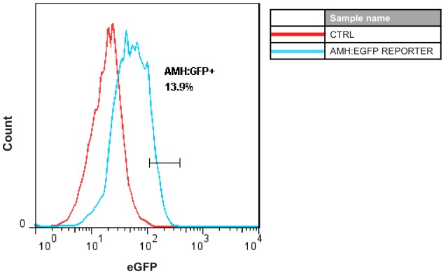 Figure 1—figure supplement 3.