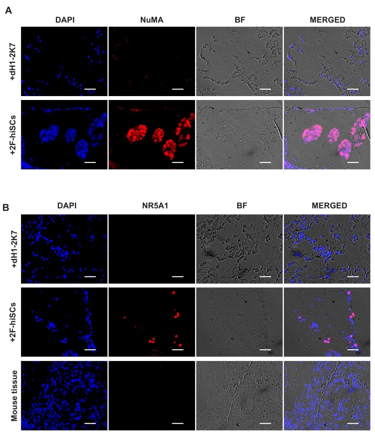 Figure 6—figure supplement 2.