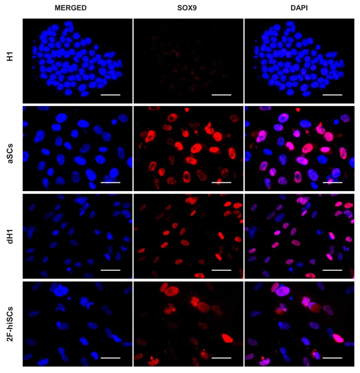 Figure 3—figure supplement 3.