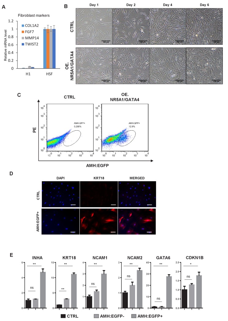 Figure 3—figure supplement 5.