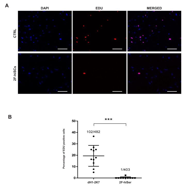 Figure 6—figure supplement 4.