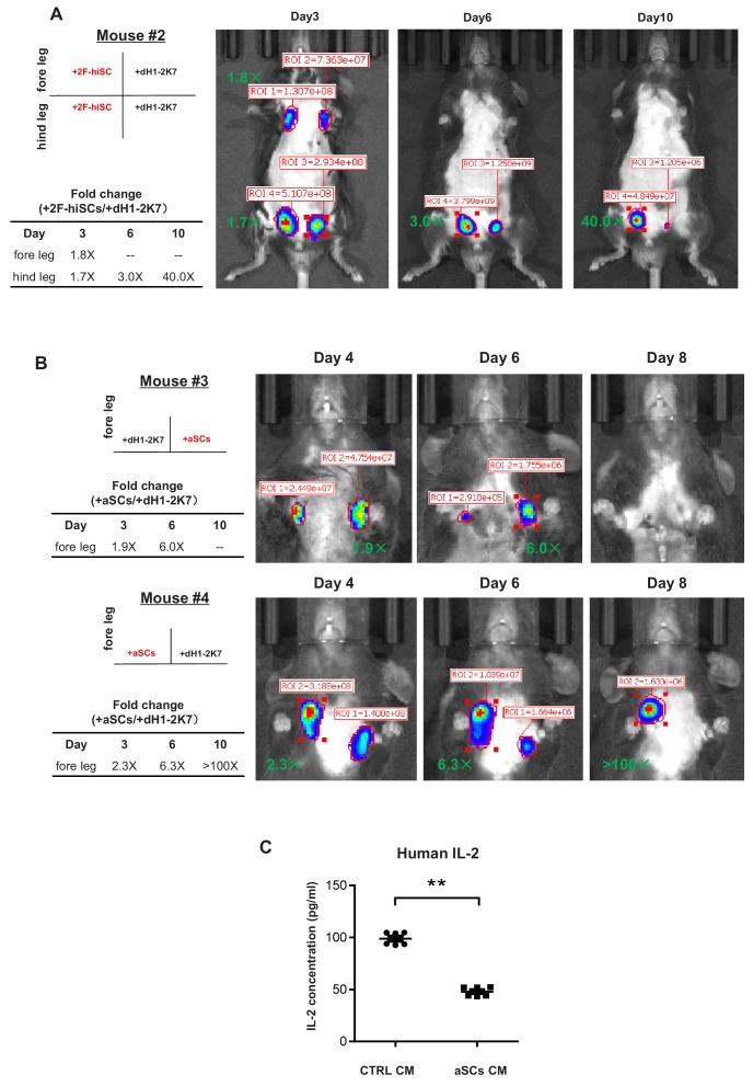 Figure 6—figure supplement 1.