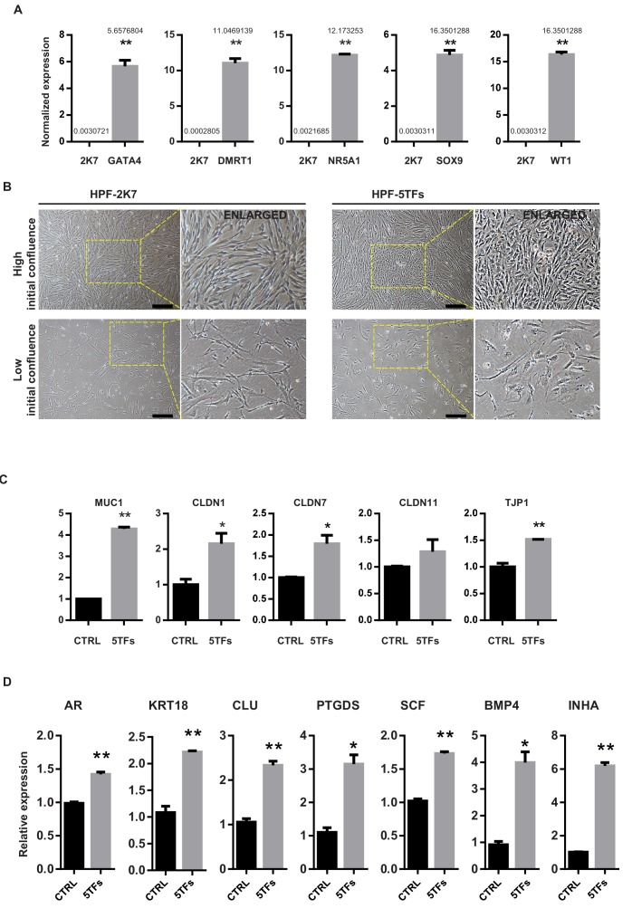 Figure 1—figure supplement 1.