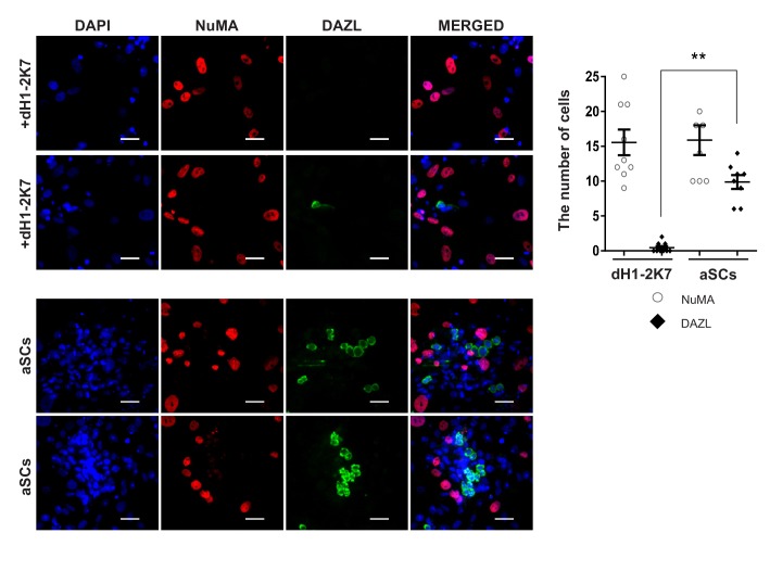 Figure 5—figure supplement 2.