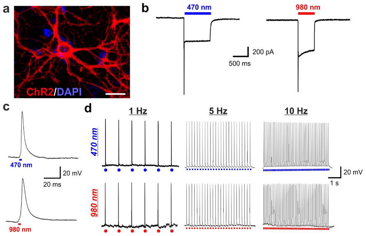 Figure 4