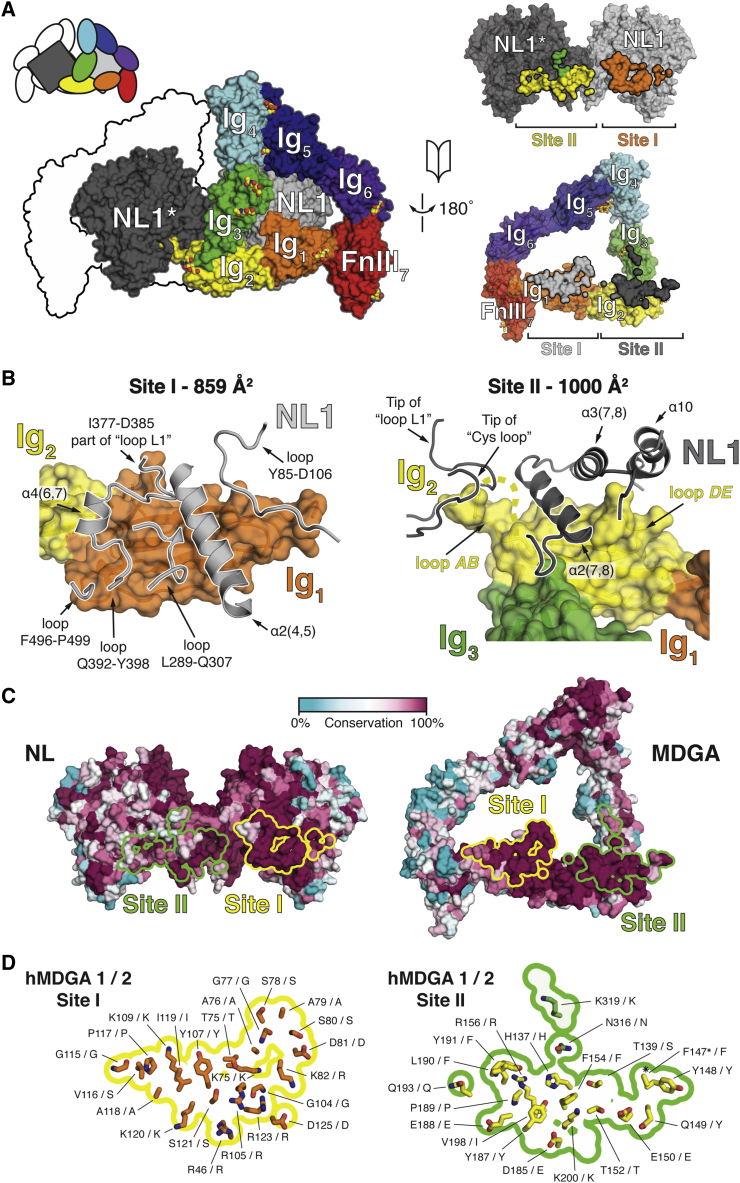 Figure 3