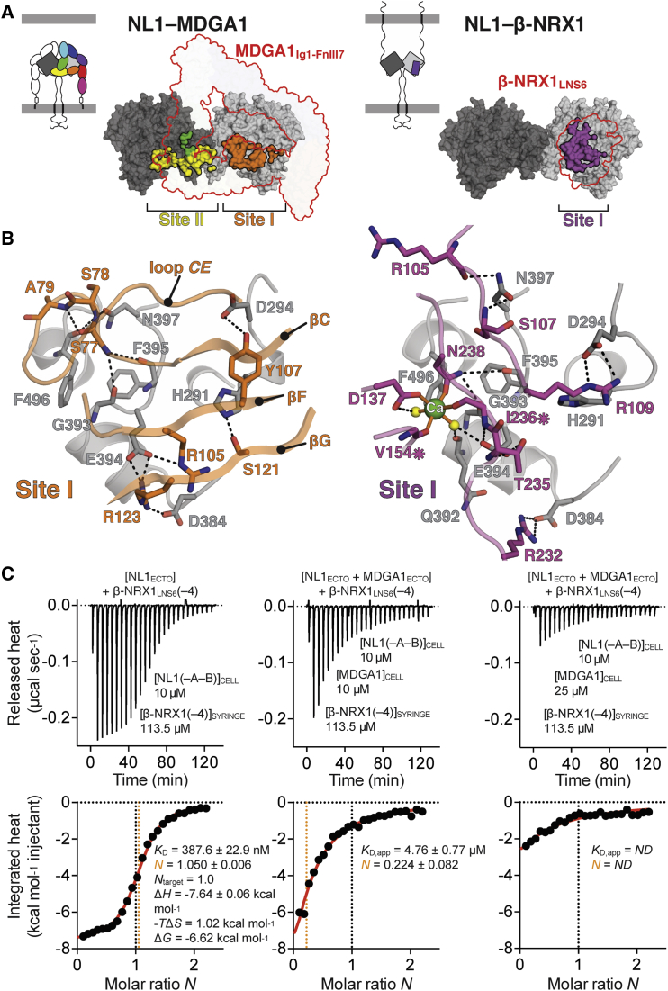 Figure 4