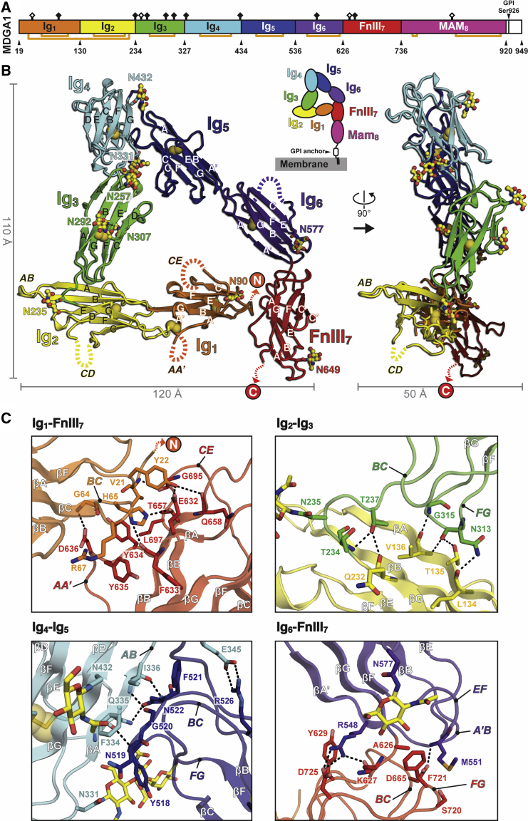 Figure 1