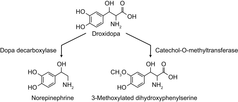 Fig. 1