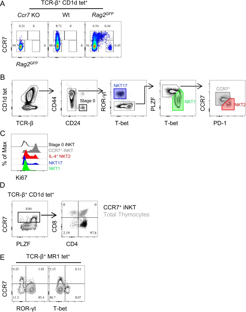 Figure 1—figure supplement 1.