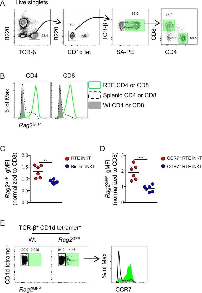 Figure 2—figure supplement 1.