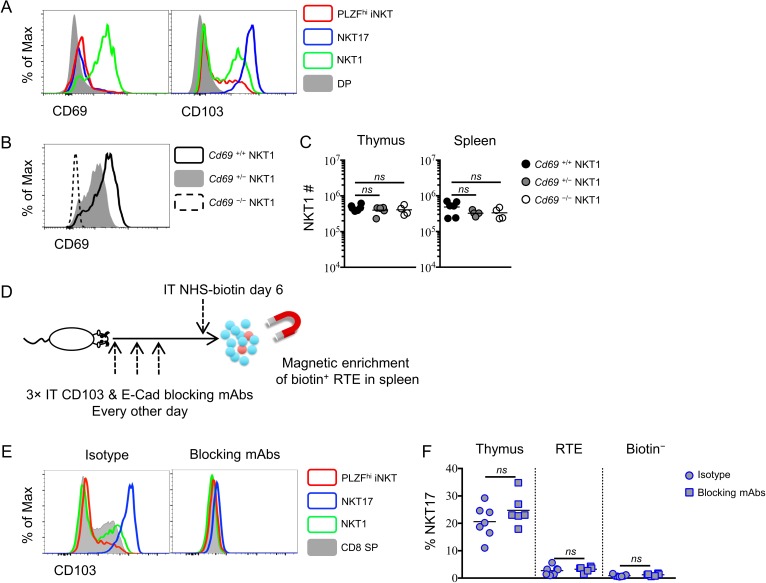 Figure 5—figure supplement 1.