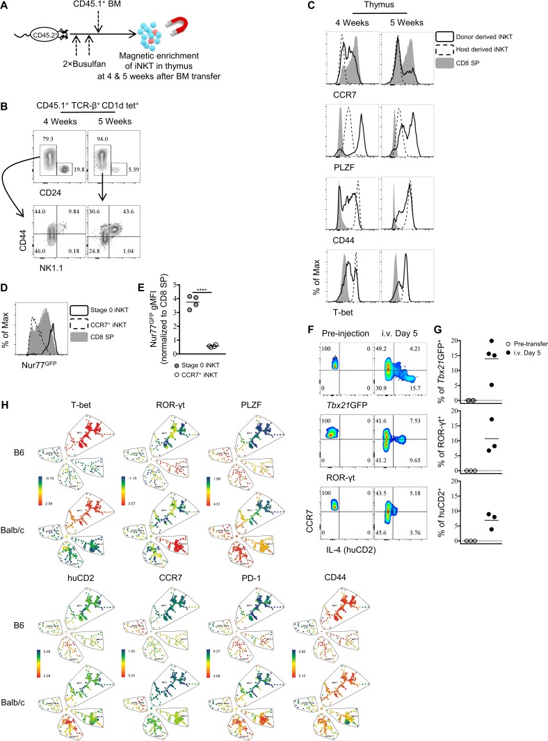 Figure 1—figure supplement 2.