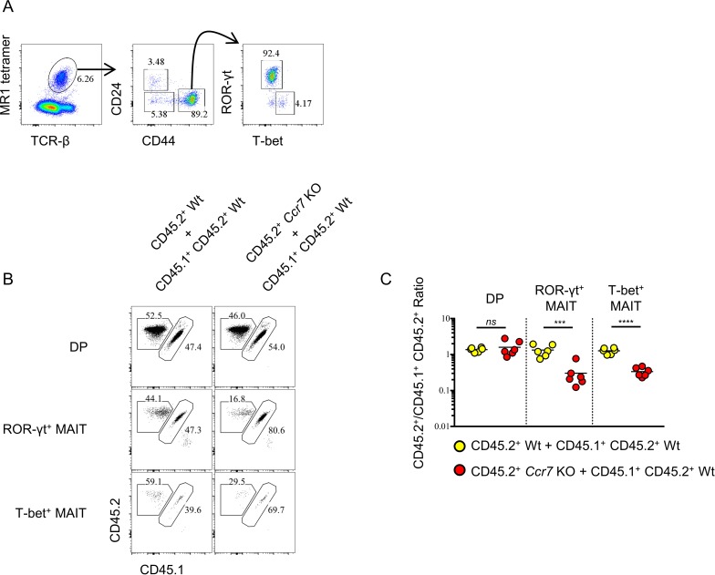 Figure 4—figure supplement 1.