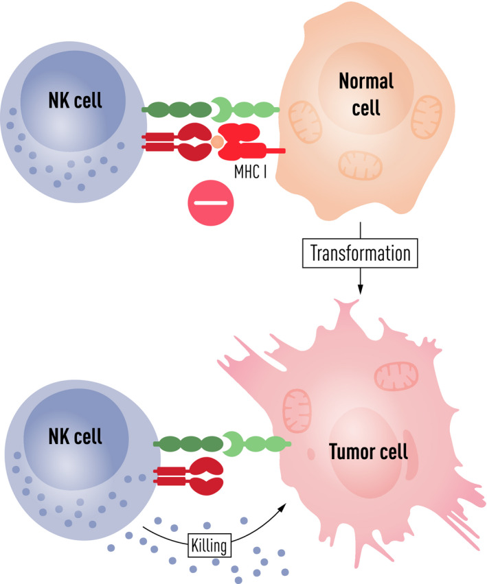 FIGURE 2