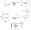 SCHEME 2