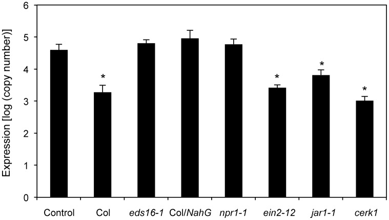 Figure 7