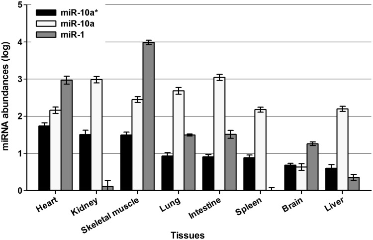 Figure 6.