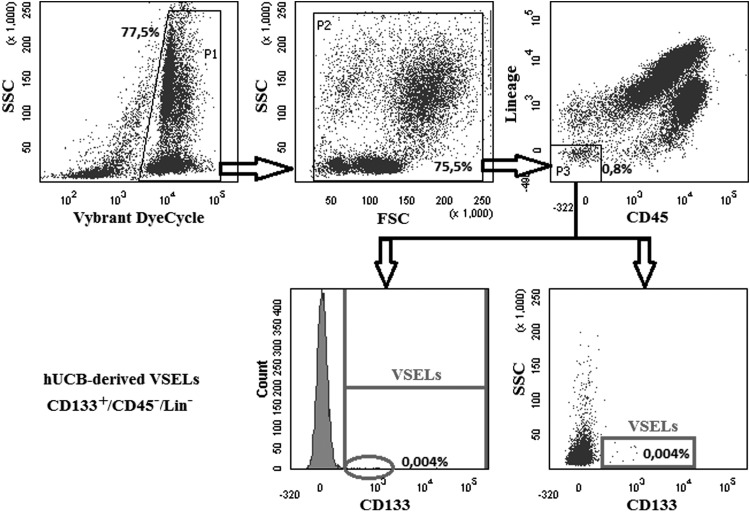 FIG. 2.