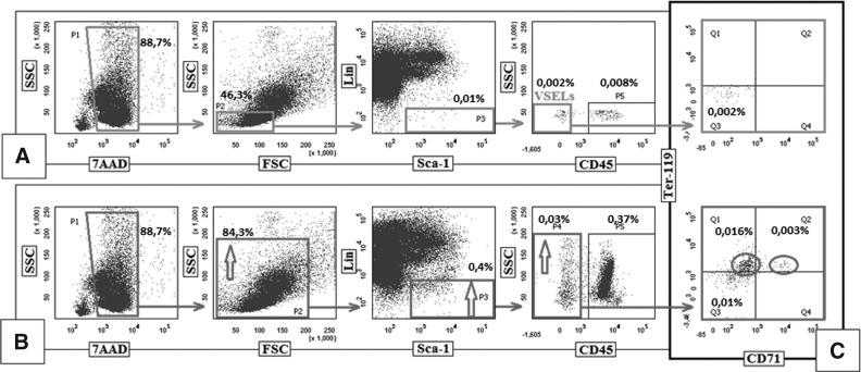 FIG. 1.