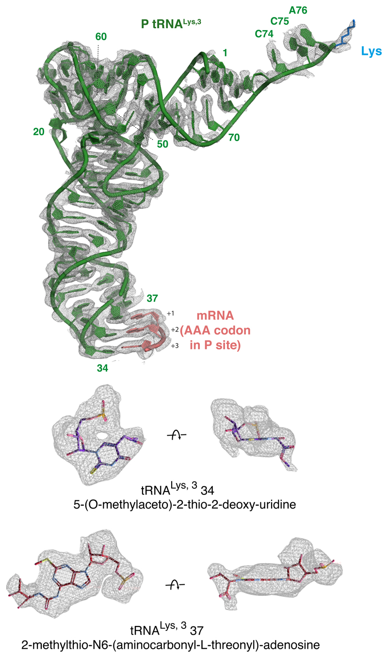 Extended Data Fig. 4