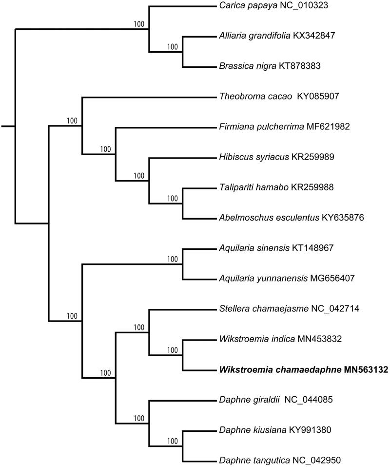 Figure 1.