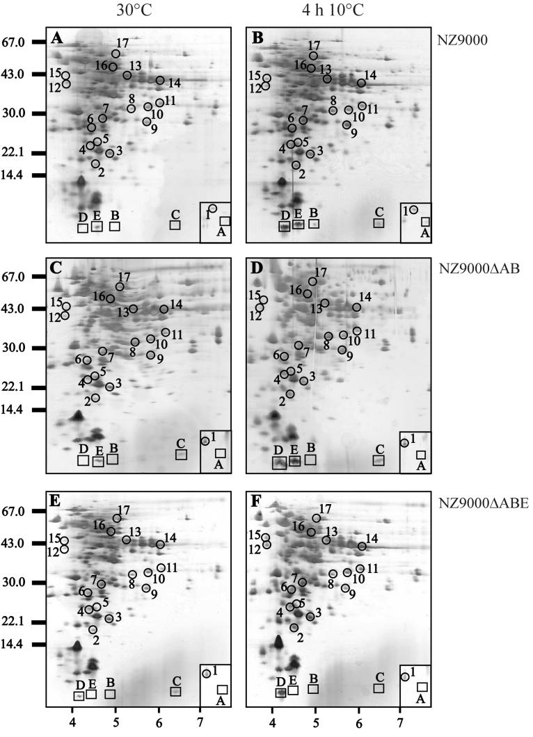 FIG. 3