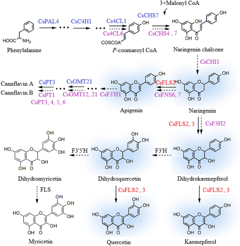 Fig.4