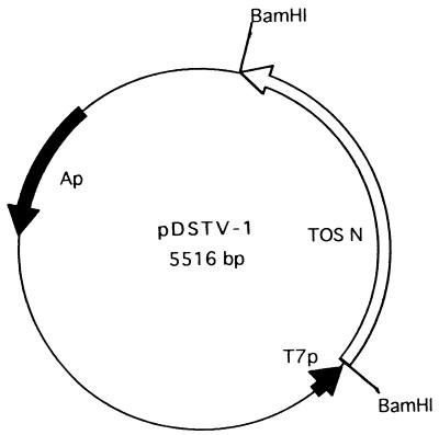 FIG. 1