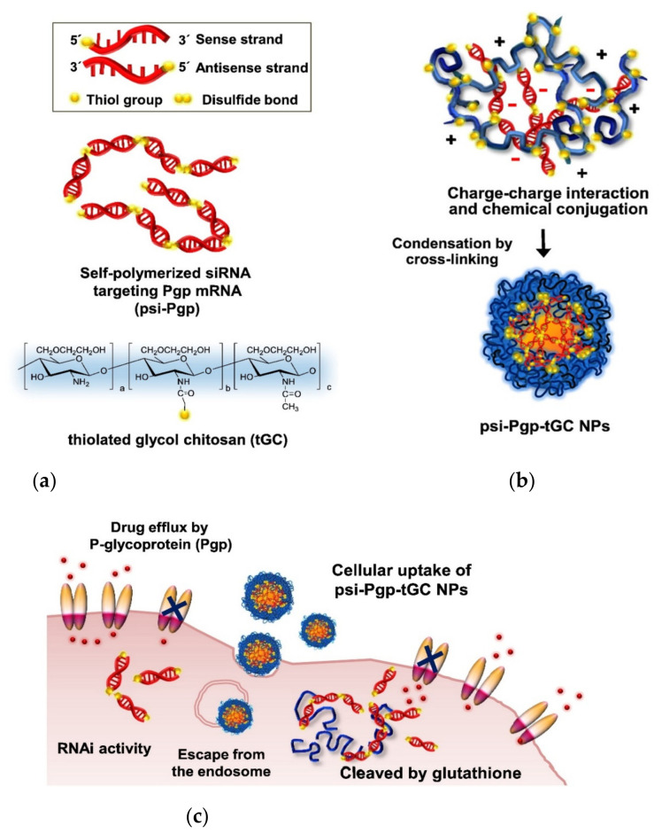 Figure 14