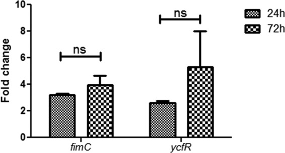 Fig 3